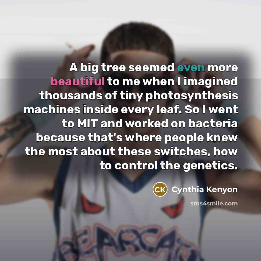 “A big tree seemed even more beautiful to me when…” quote by Cynthia Kenyon
