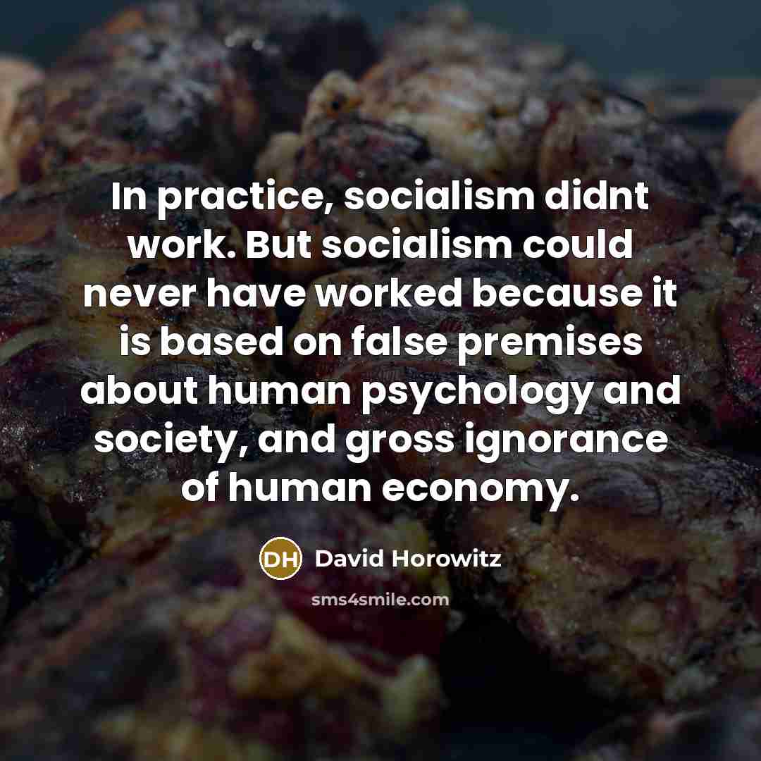 “In practice, socialism didnt work. But socialism could never have…” quote by David Horowitz