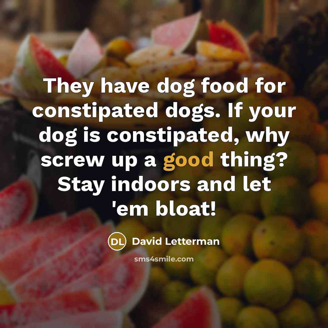 “They have dog food for constipated dogs. If your dog is constipated, why screw up a good thing? Stay indoors and let 'em bloat!” quote by David Letterman