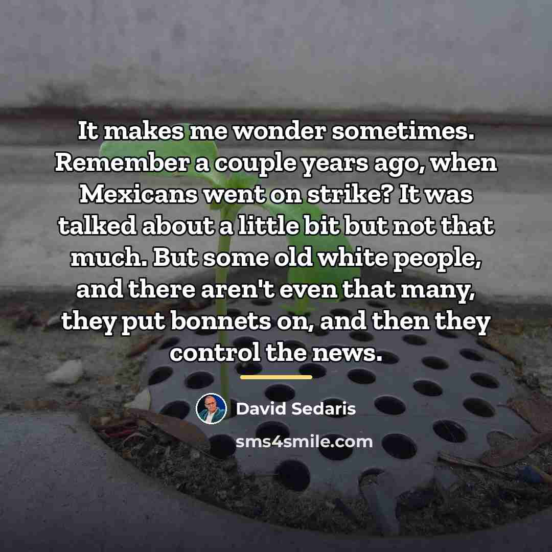 “It makes me wonder sometimes. Remember a couple years ago,…” quote by David Sedaris