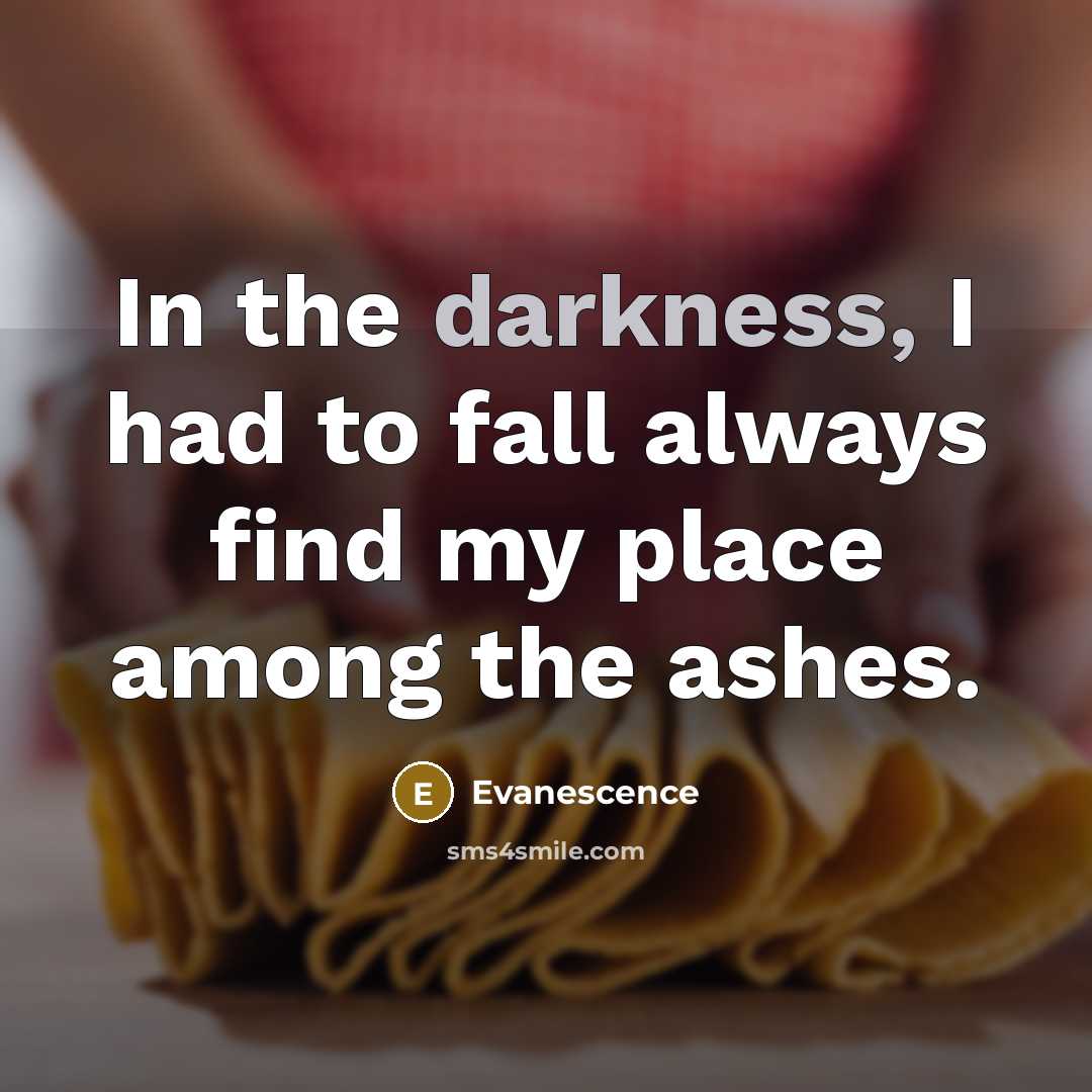 “In the darkness, I had to fall always find my…” quote by Evanescence