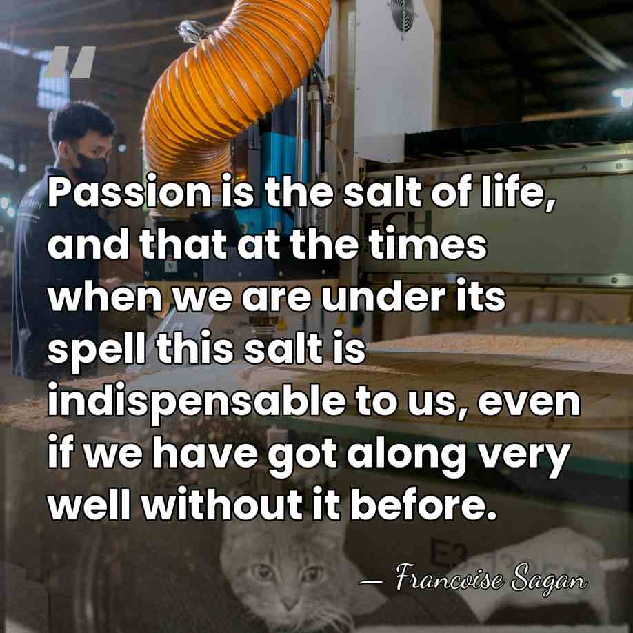 Passion is the salt of life, and that at the times when&hellip; - Francoise Sagan