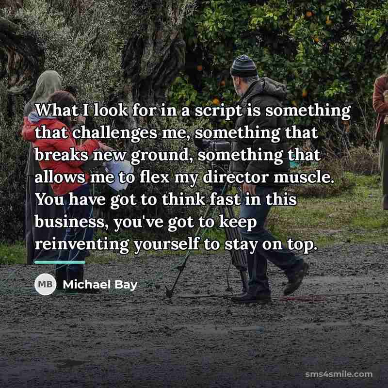 “What I look for in a script is something that…” quote by Michael Bay