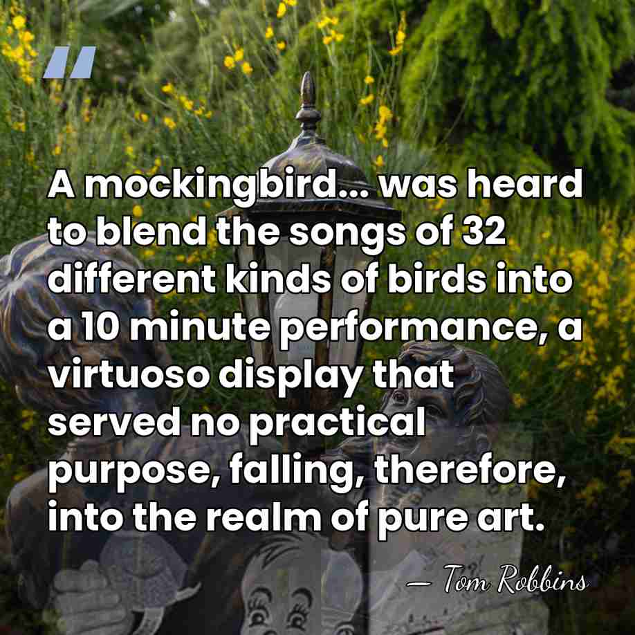 A mockingbird... was heard to blend the songs of 32 different kinds&hellip; - Tom Robbins