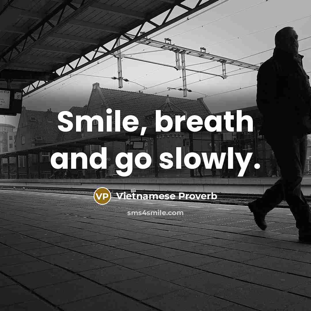 “Smile, breath and go slowly.” quote by Vietnamese Proverb