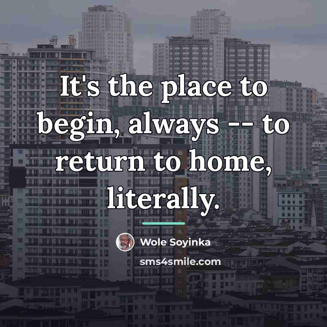 “It's the place to begin, always -- to return to…” quote by Wole Soyinka