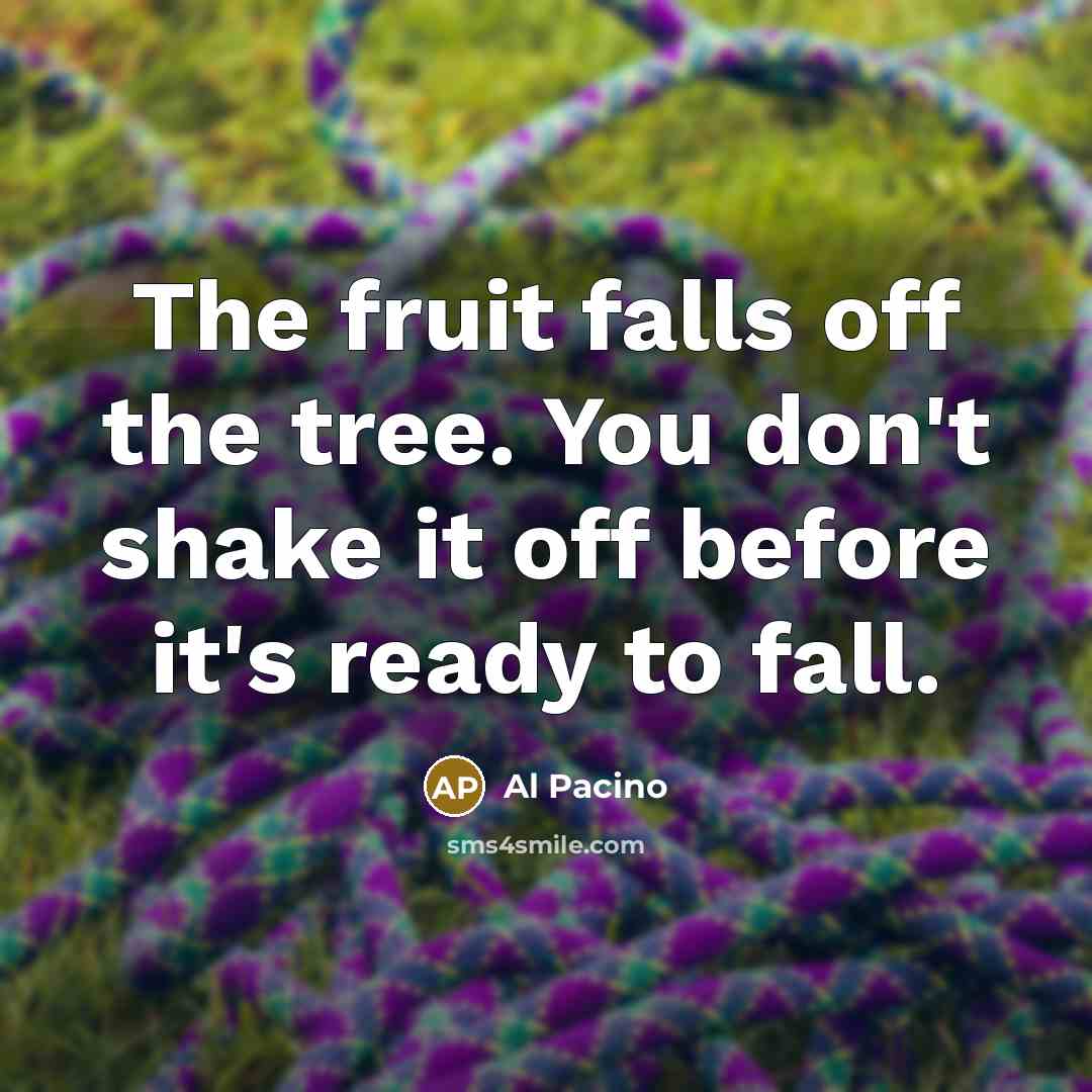 “The fruit falls off the tree. You don't shake it…” quote by Al Pacino