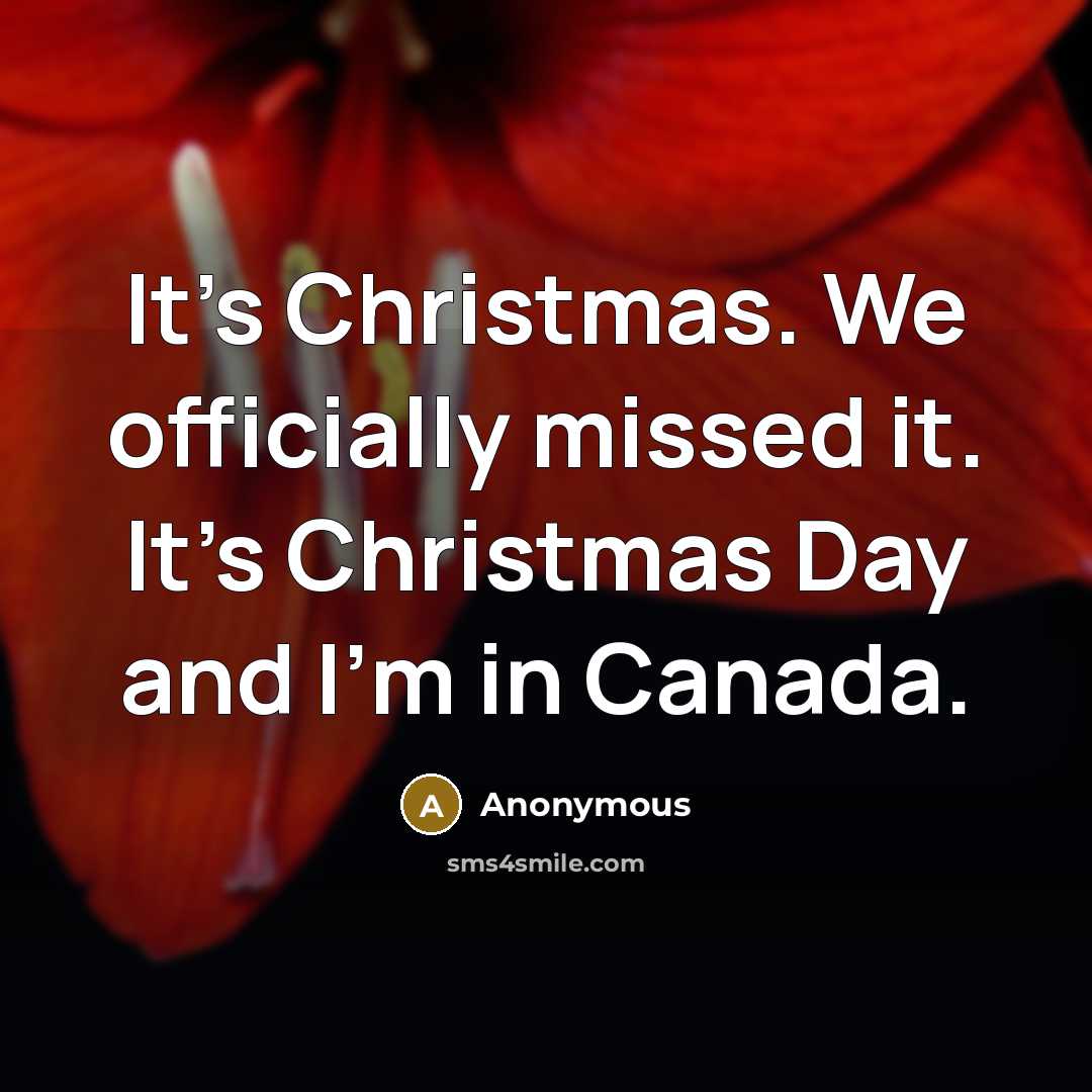 “It's Christmas. We officially missed it. It's Christmas Day and…” quote by Anonymous