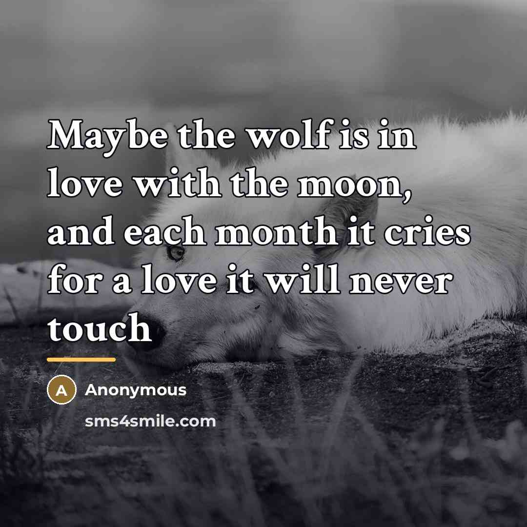 “Maybe the wolf is in love with the moon, and…” quote by Anonymous