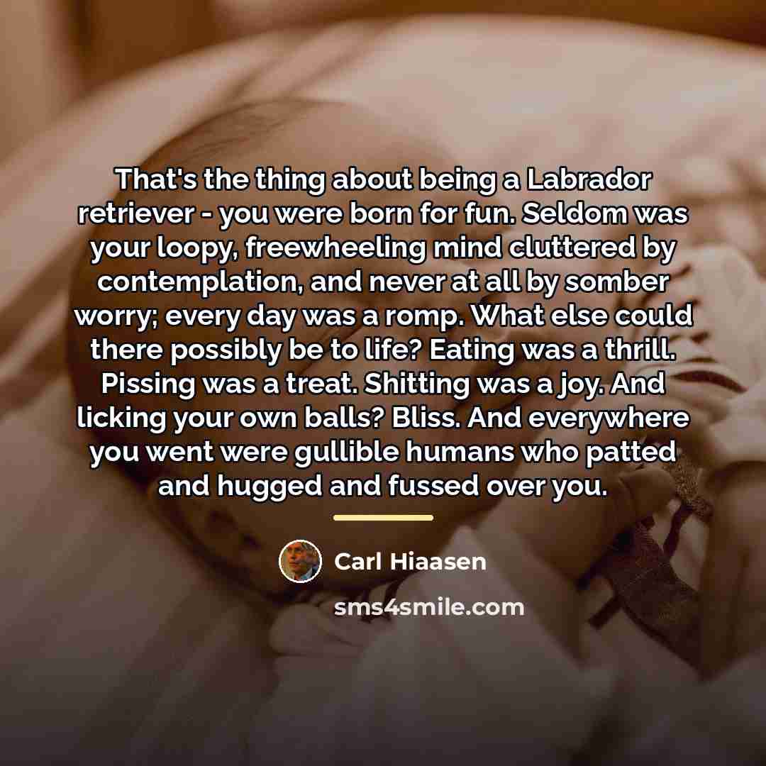 “That's the thing about being a Labrador retriever - you…” quote by Carl Hiaasen