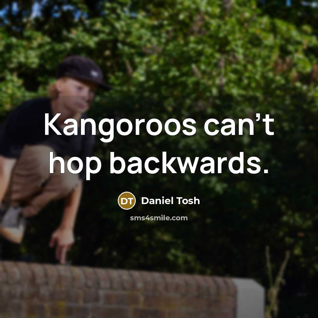 “Kangoroos can't hop backwards.…” quote by Daniel Tosh