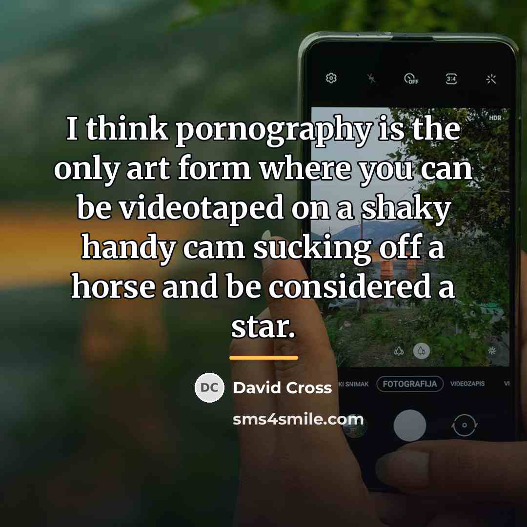 “I think pornography is the only art form where you…” quote by David Cross