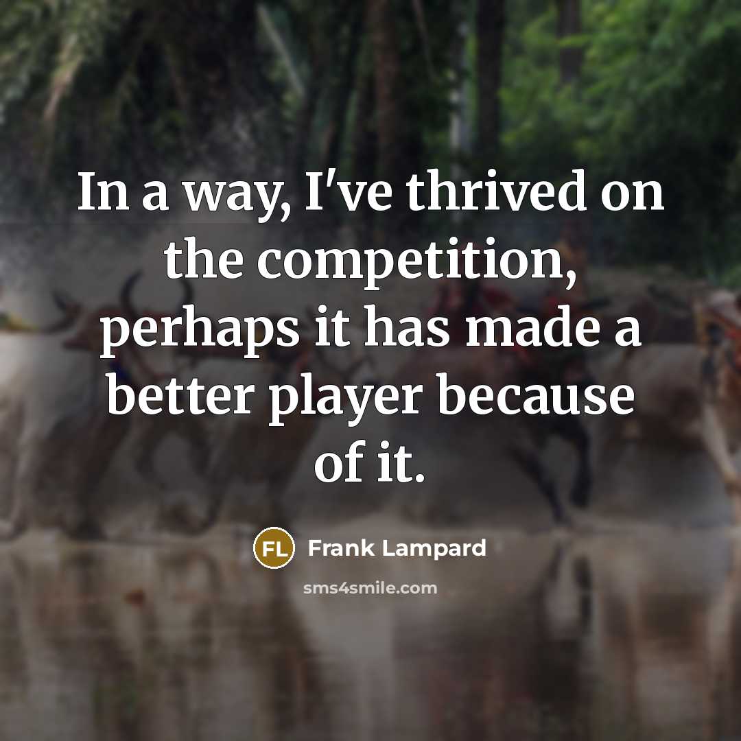 “In a way, I've thrived on the competition, perhaps it…” quote by Frank Lampard