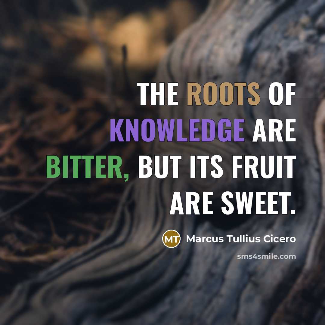 “The roots of knowledge are bitter, but its fruit are…” quote by Marcus Tullius Cicero