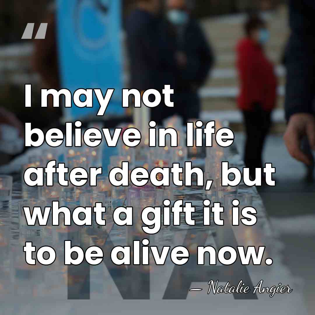 I may not believe in life after death, but what a gift&hellip; - Natalie Angier