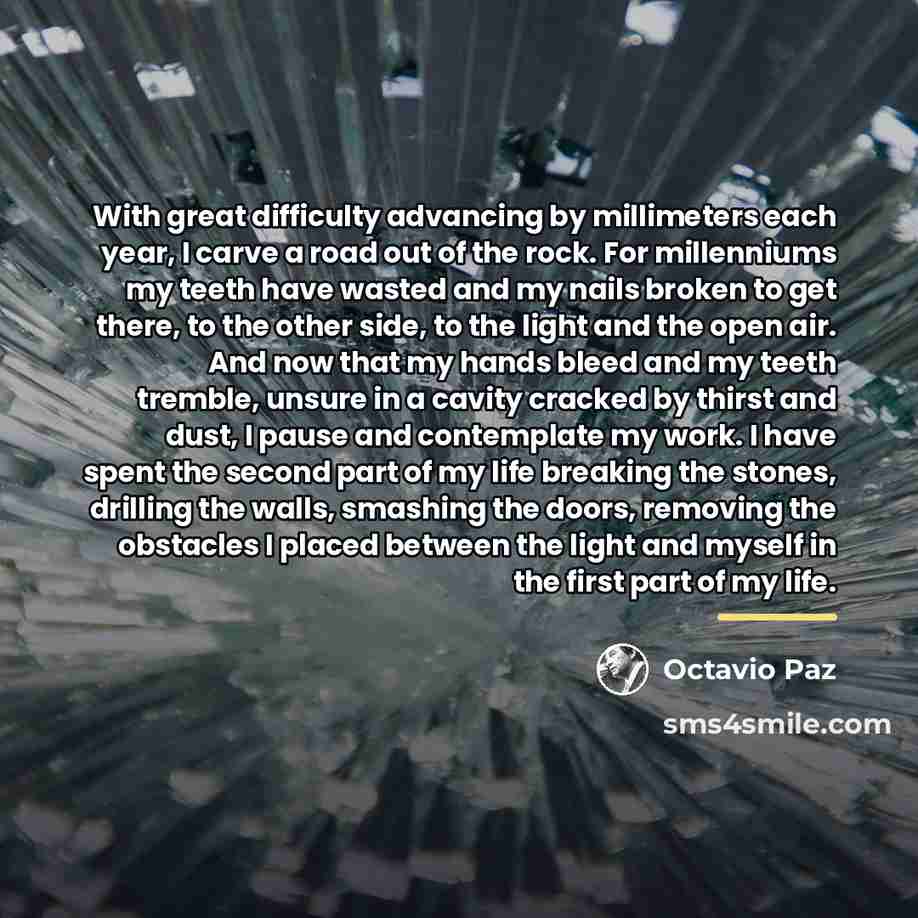 “With great difficulty advancing by millimeters each year, I carve…” quote by Octavio Paz