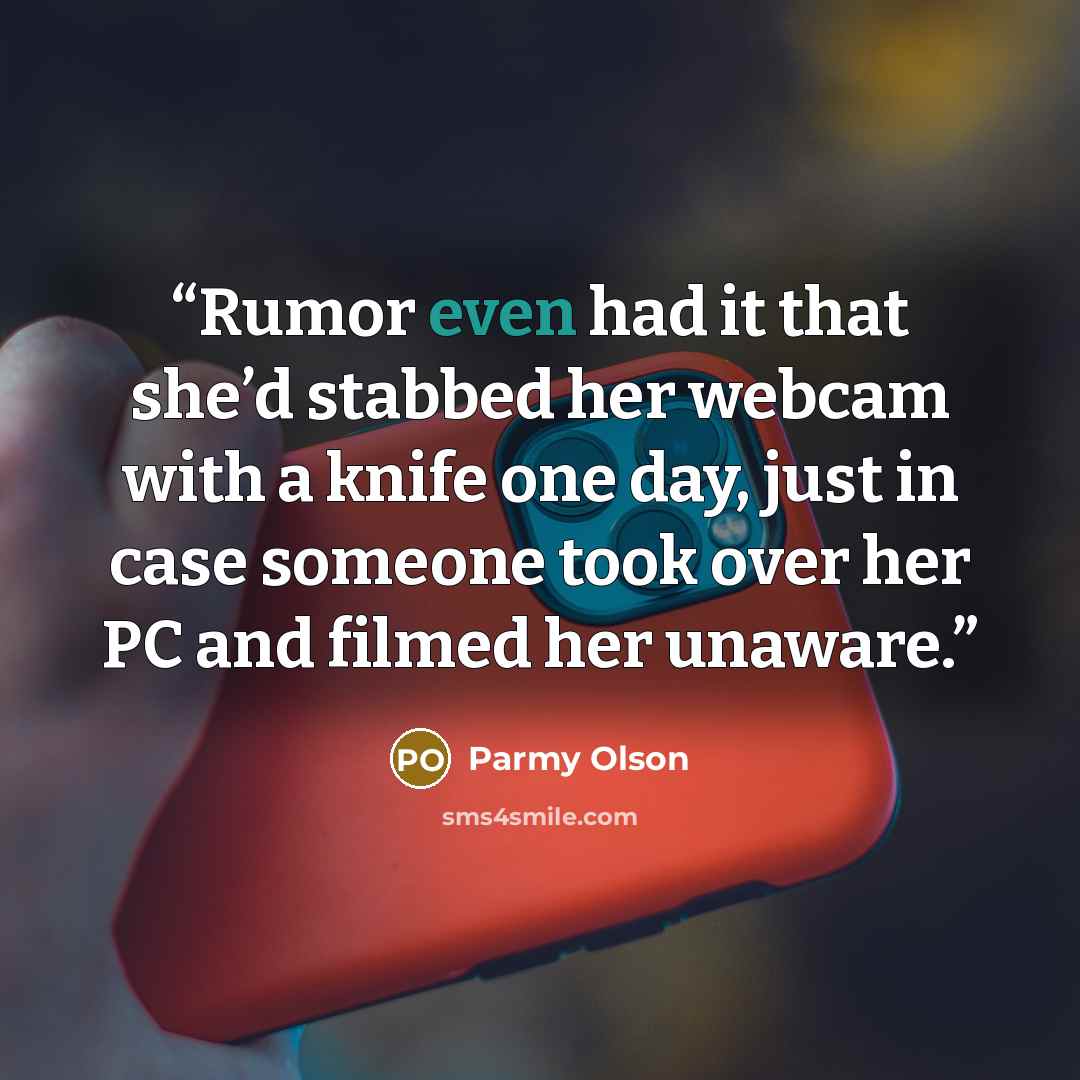 “Rumor even had it that she’d stabbed her webcam with a knife one day, just in case someone took over her PC and filmed her unaware.” quote by Parmy Olson