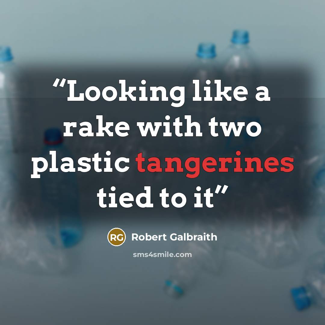 “Looking like a rake with two plastic tangerines tied to it” quote by Robert Galbraith