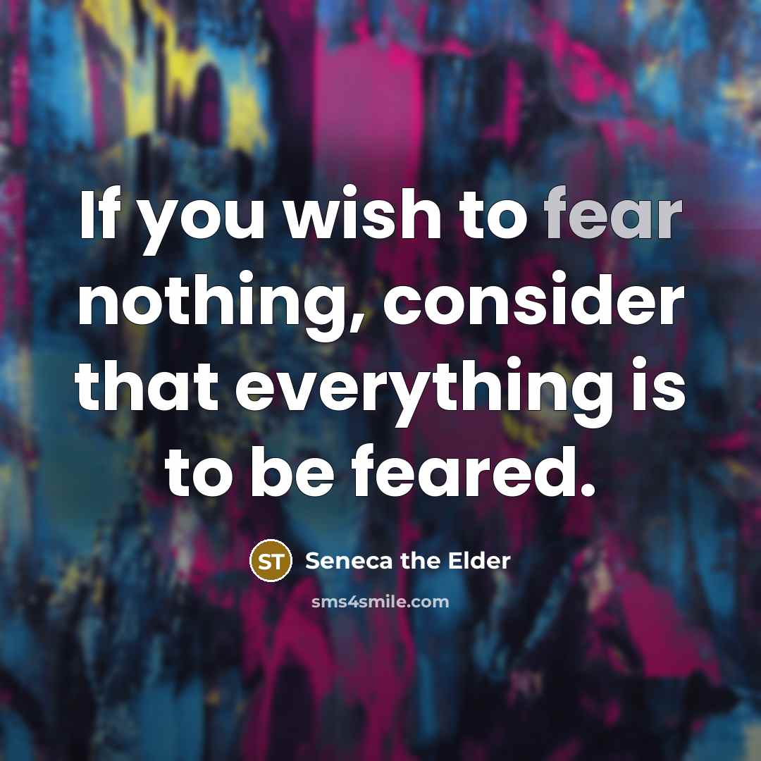 “If you wish to fear nothing, consider that everything is…” quote by Seneca the Elder