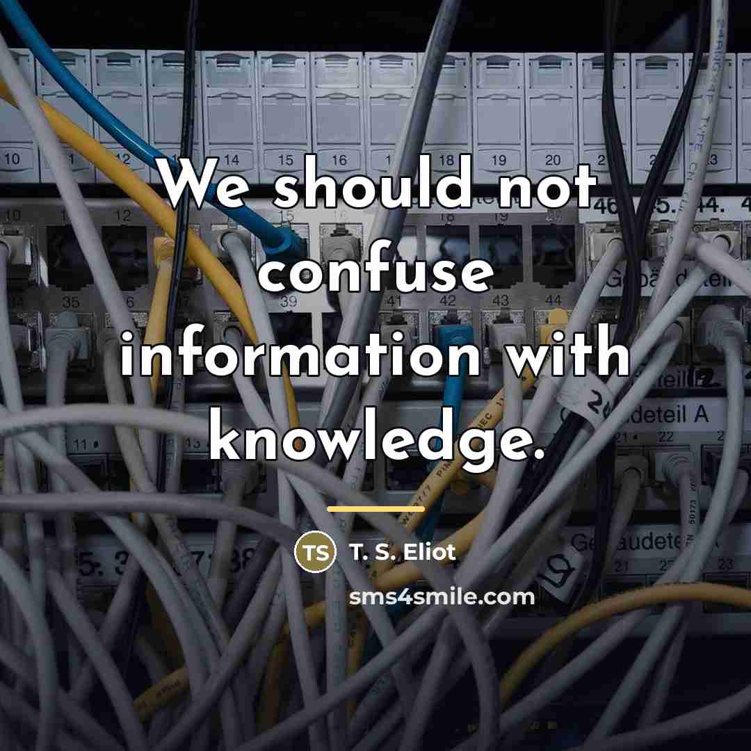 “We should not confuse information with knowledge.…” quote by T. S. Eliot