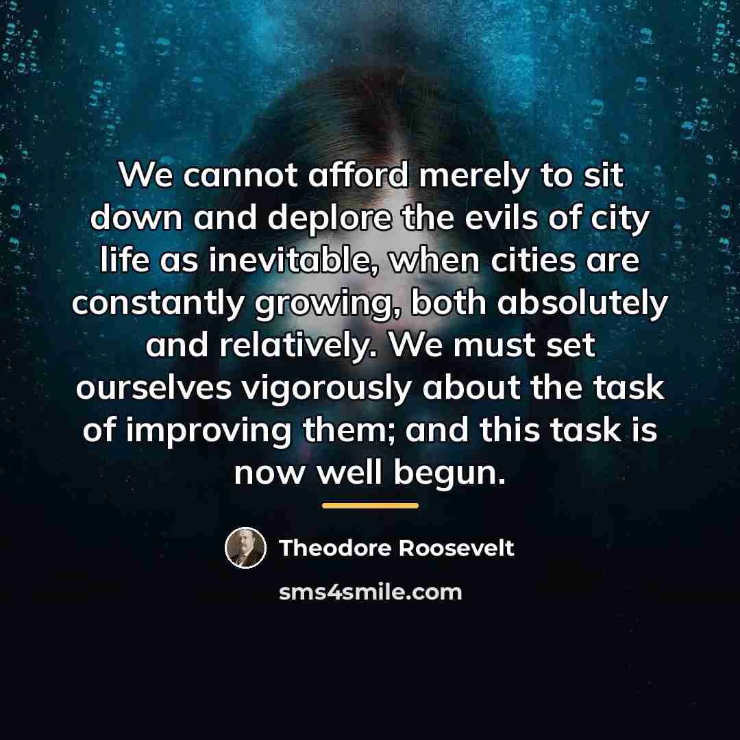 “We cannot afford merely to sit down and deplore the…” quote by Theodore Roosevelt