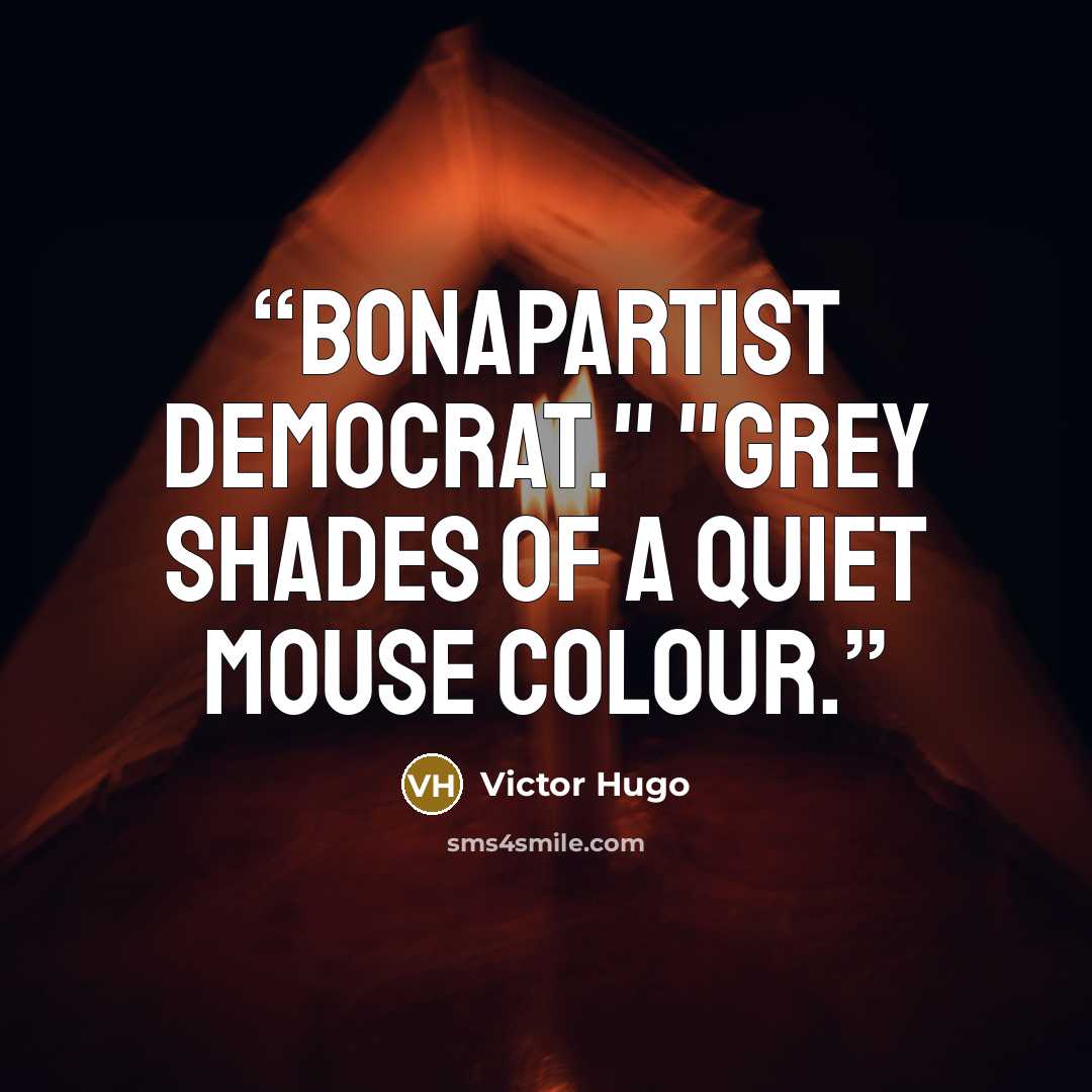 “Bonapartist democrat." "Grey shades of a quiet mouse colour.” quote by Victor Hugo
