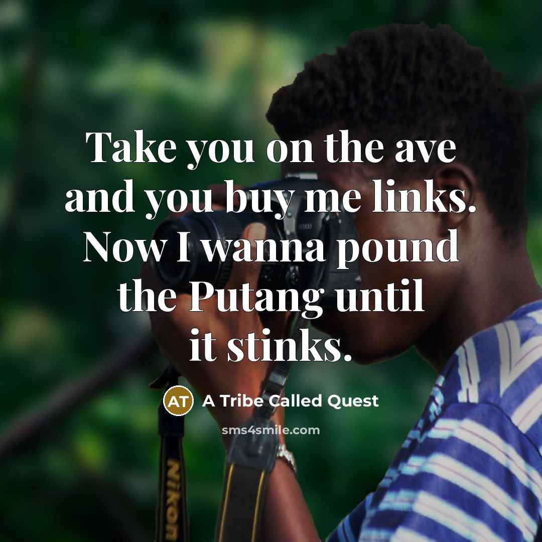 “Take you on the ave and you buy me links. Now I wanna pound the Putang until it stinks.” quote by A Tribe Called Quest