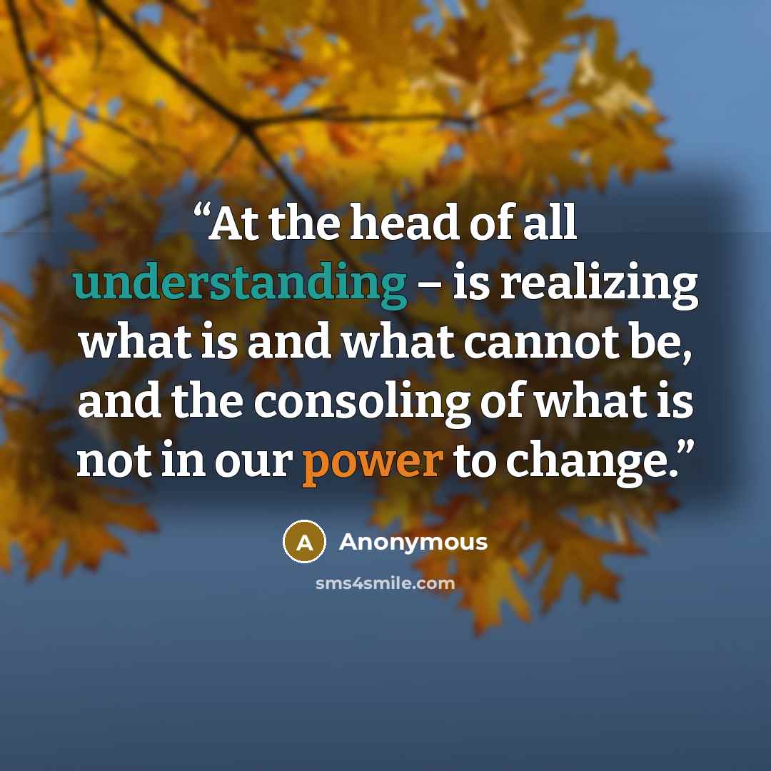 “At the head of all understanding – is realizing what is and what cannot be, and the consoling of what is not in our power to change.” quote by Anonymous