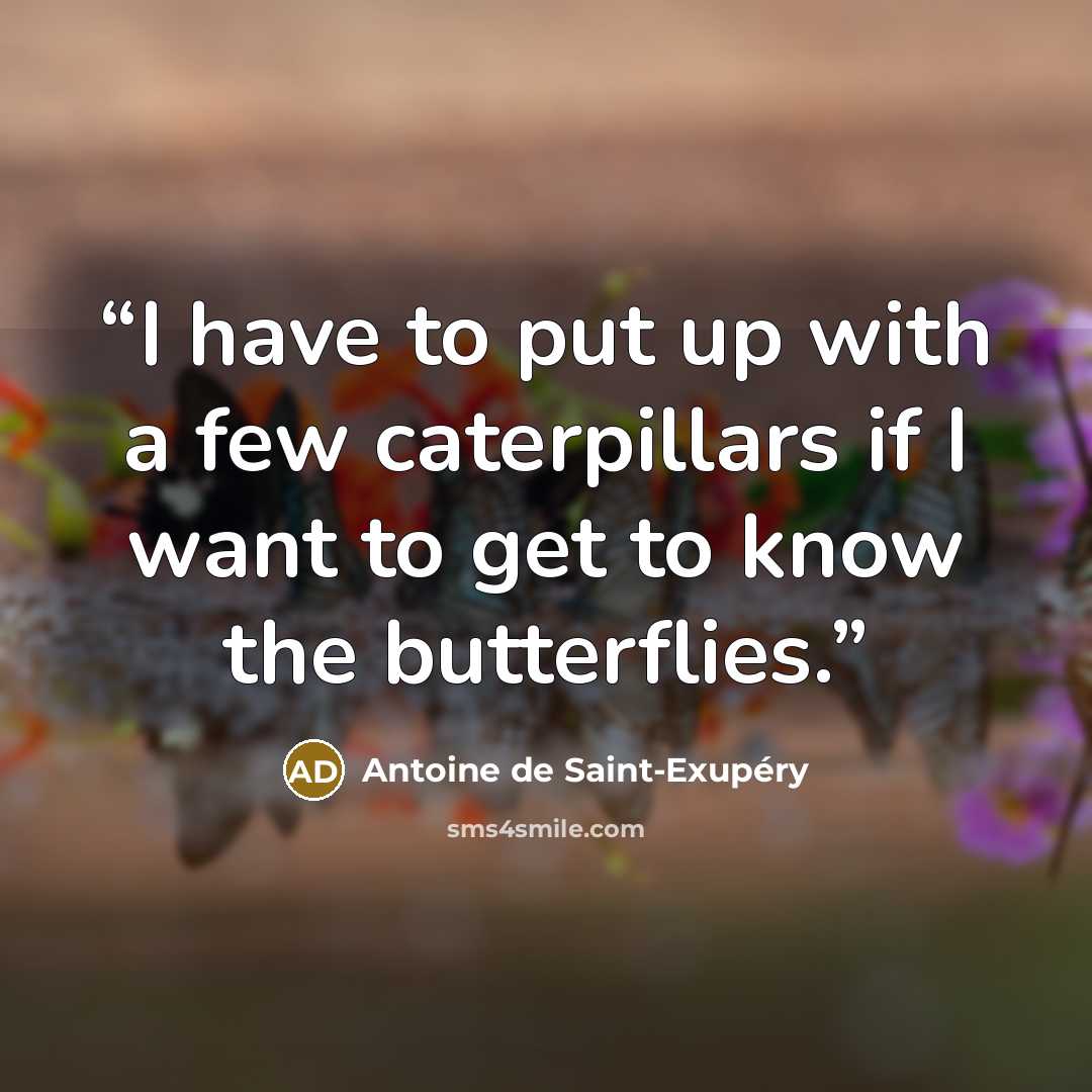 “I have to put up with a few caterpillars if I want to get to know the butterflies.” quote by Antoine de Saint-Exupéry