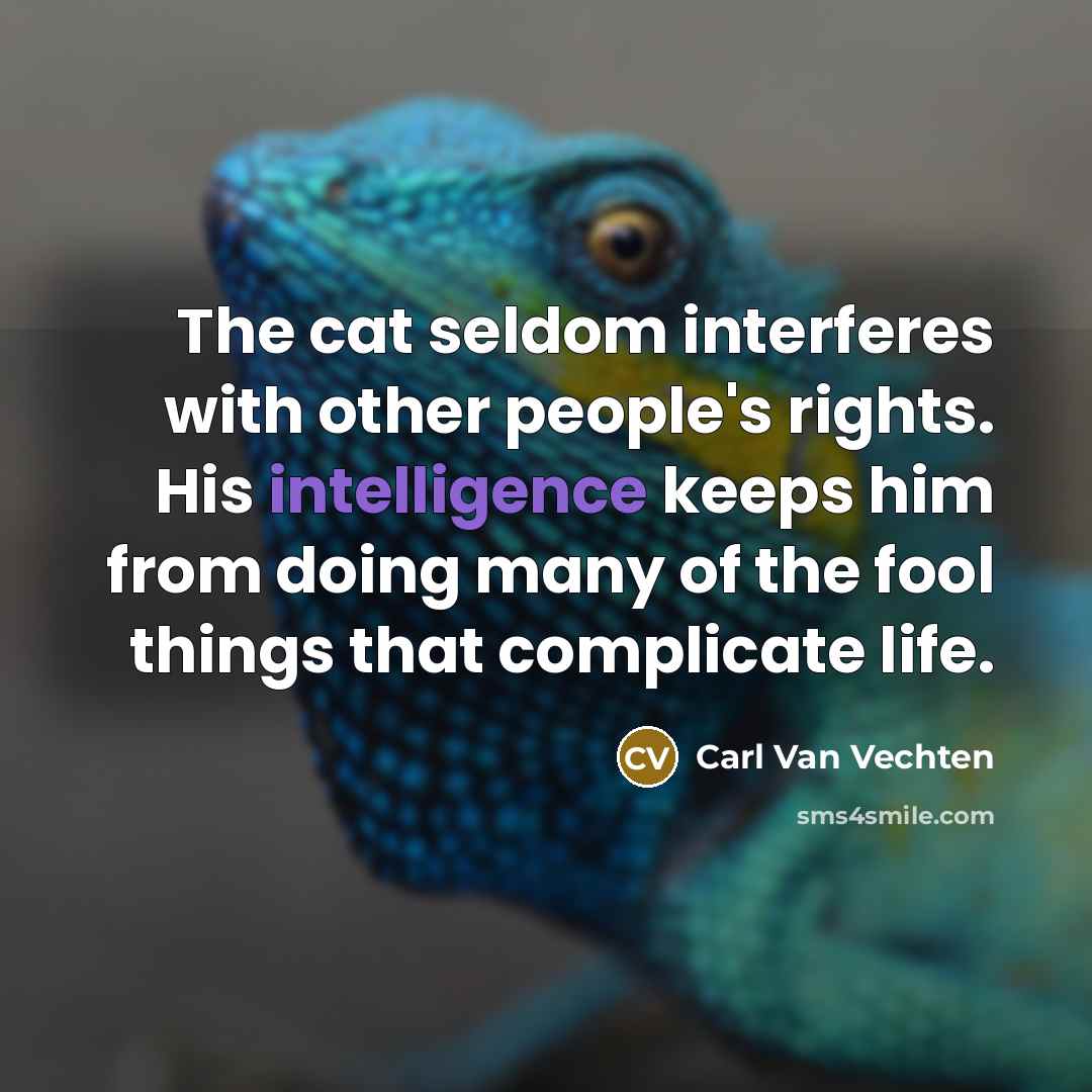 “The cat seldom interferes with other people's rights. His intelligence…” quote by Carl Van Vechten