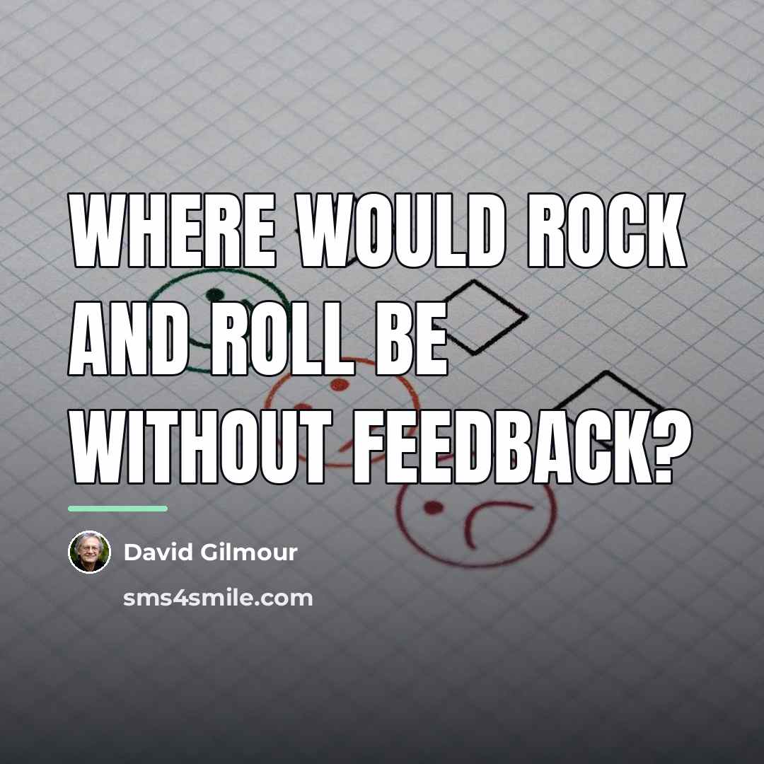 “Where would rock and roll be without feedback?…” quote by David Gilmour