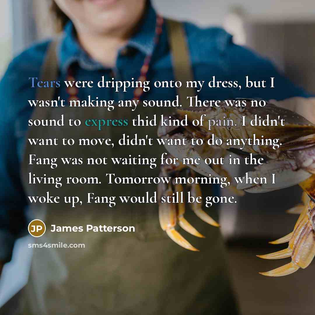 “Tears were dripping onto my dress, but I wasn't making…” quote by James Patterson