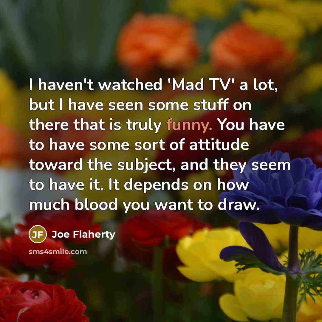 “I haven't watched 'Mad TV' a lot, but I have…” quote by Joe Flaherty