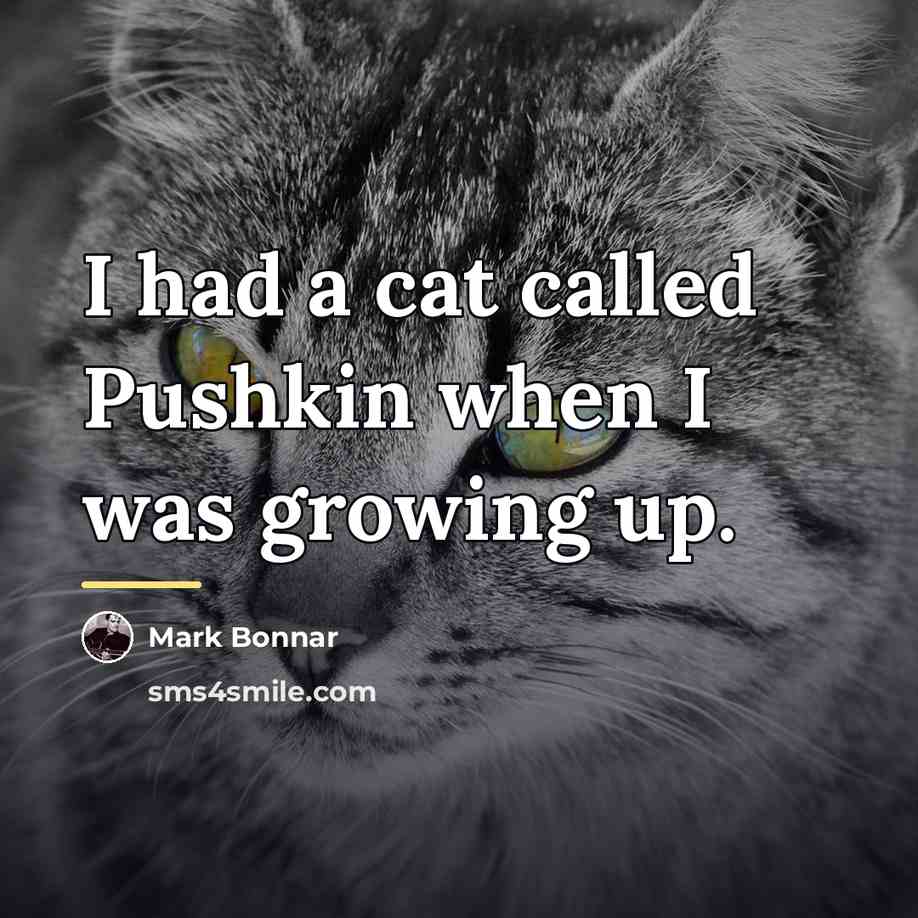 “I had a cat called Pushkin when I was growing…” quote by Mark Bonnar