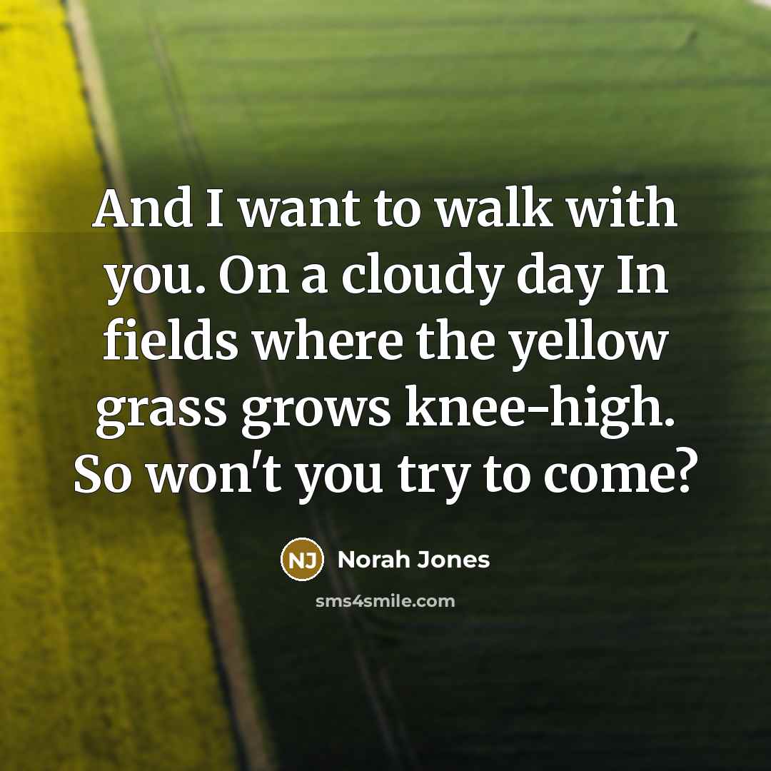 “And I want to walk with you. On a cloudy…” quote by Norah Jones