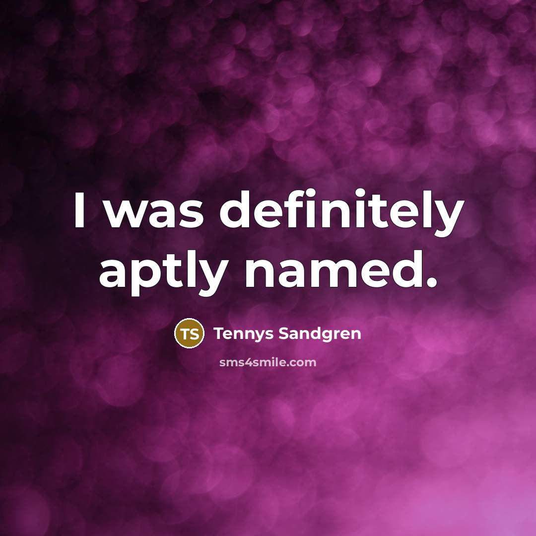 “I was definitely aptly named.…” quote by Tennys Sandgren