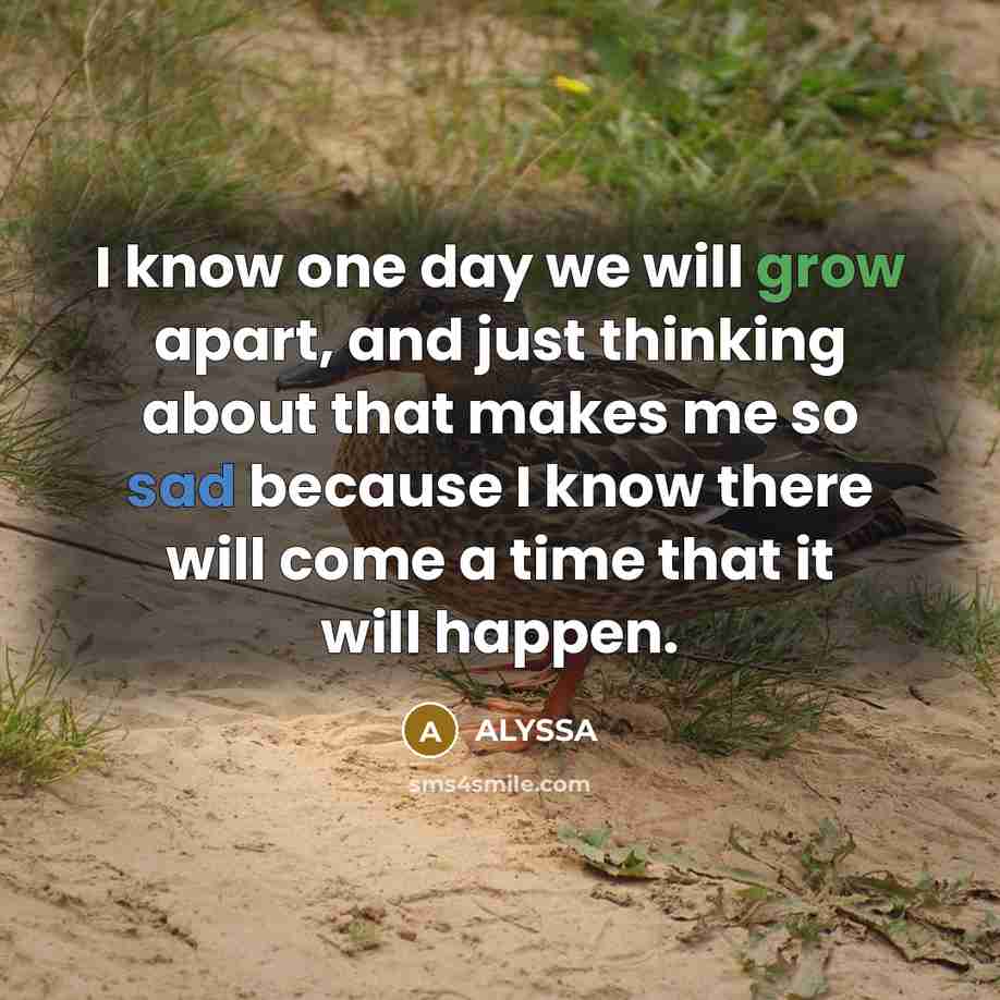 “I know one day we will grow apart, and just thinking about that makes me so sad because I know there will come a time that it will happen.” quote by ALYSSA