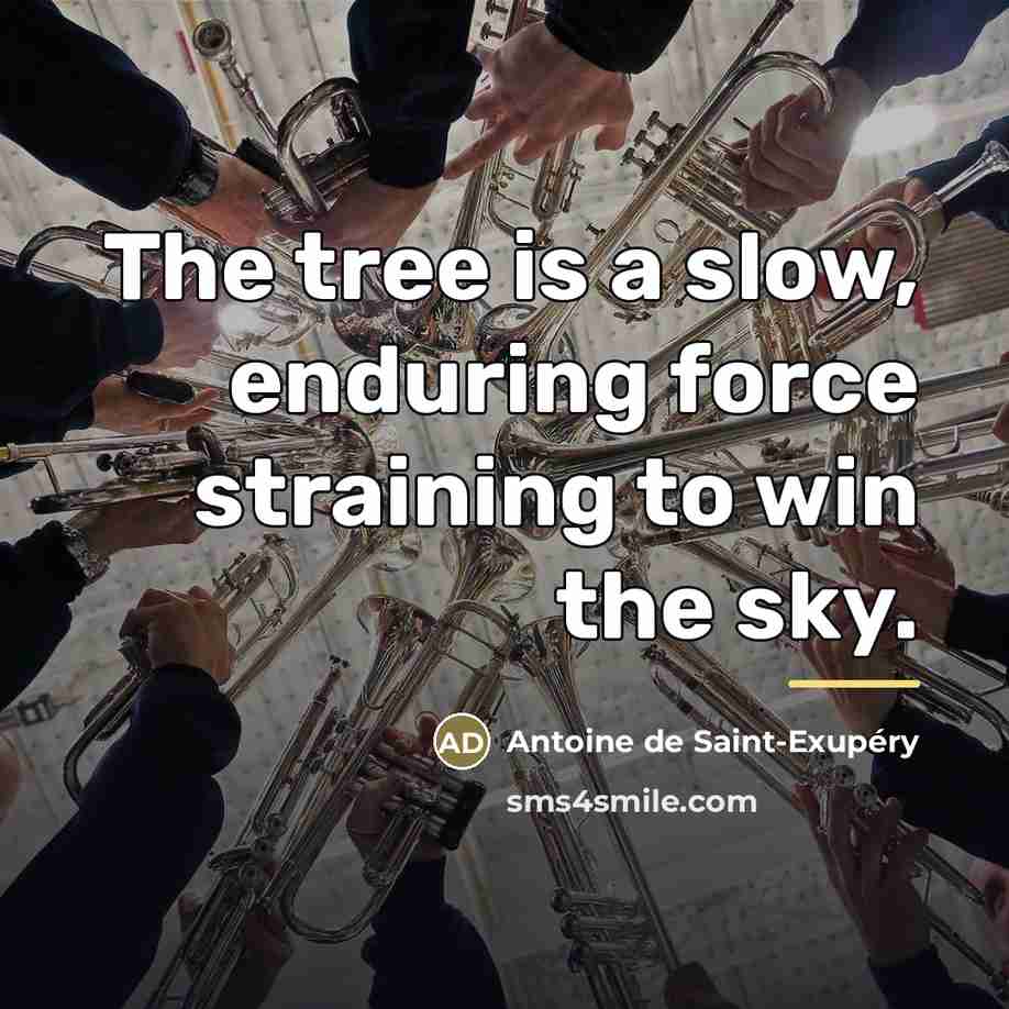 “The tree is a slow, enduring force straining to win…” quote by Antoine de Saint-Exupery