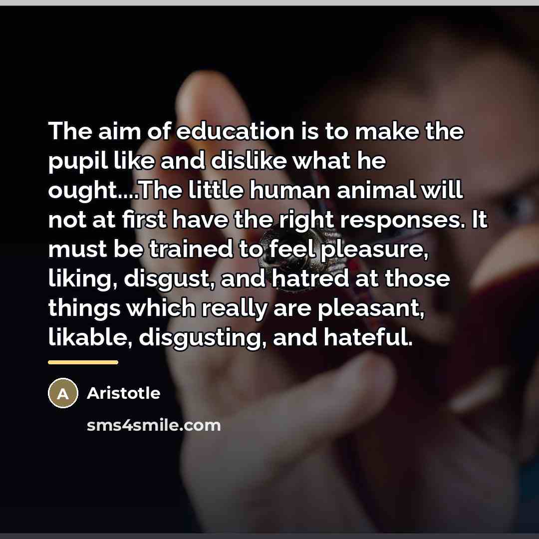 “The aim of education is to make the pupil like…” quote by Aristotle