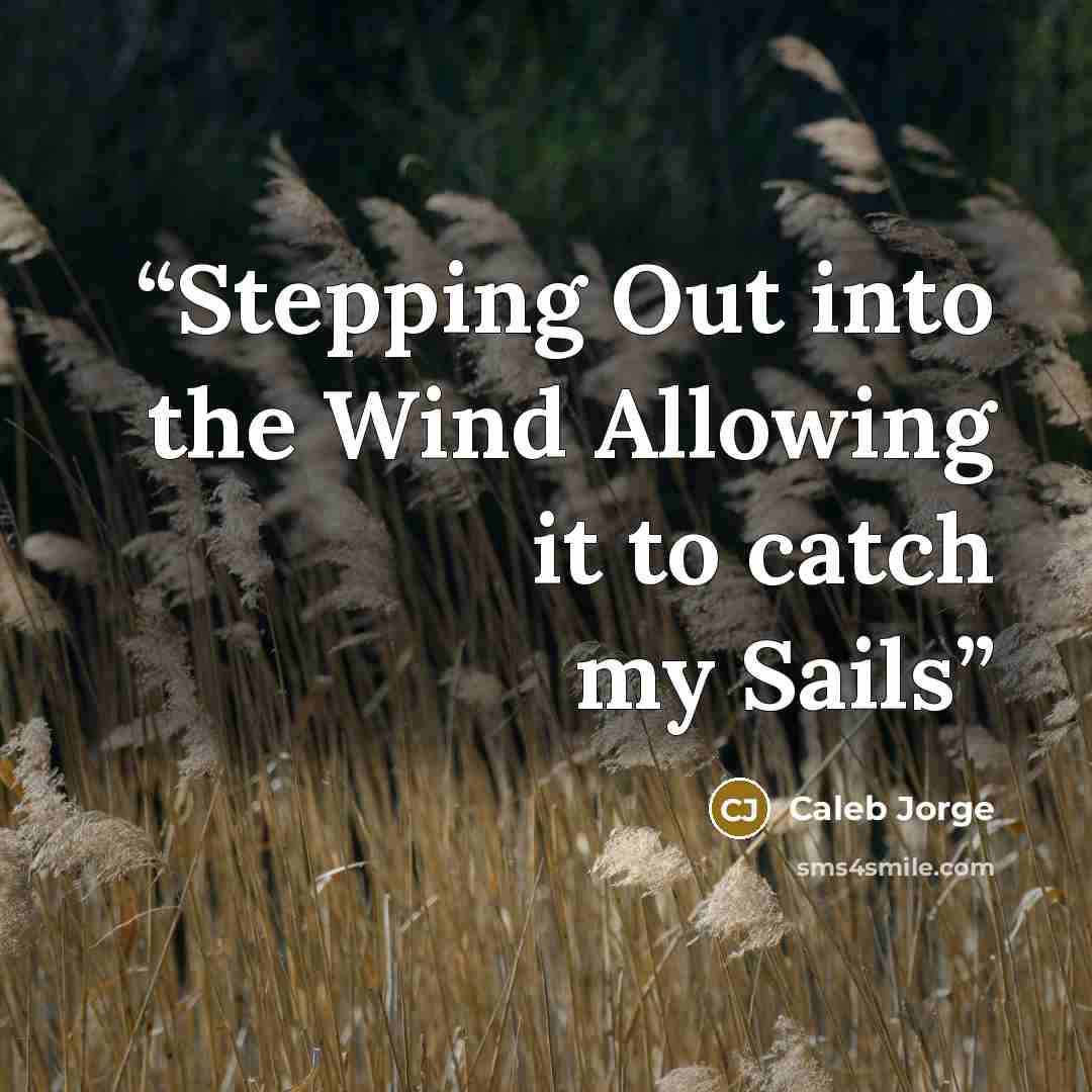 “Stepping Out into the Wind Allowing it to catch my Sails” quote by Caleb Jorge