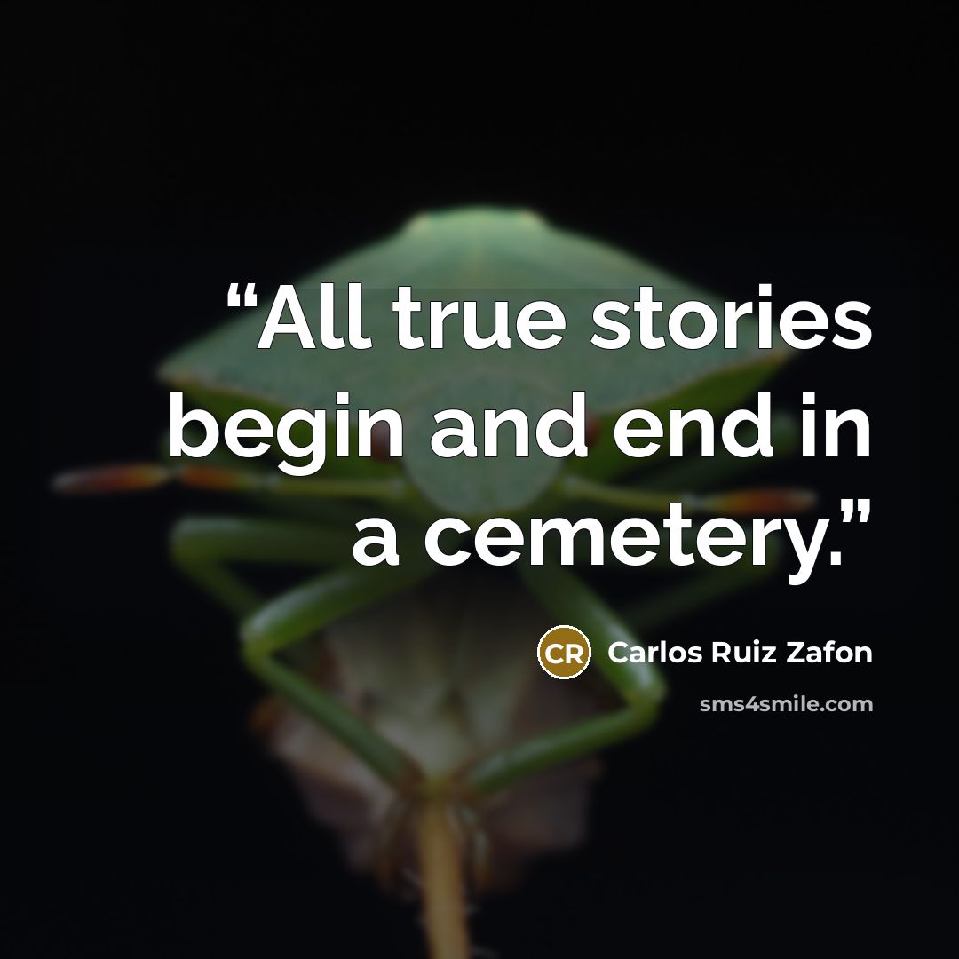 “All true stories begin and end in a cemetery.” quote by Carlos Ruiz Zafón