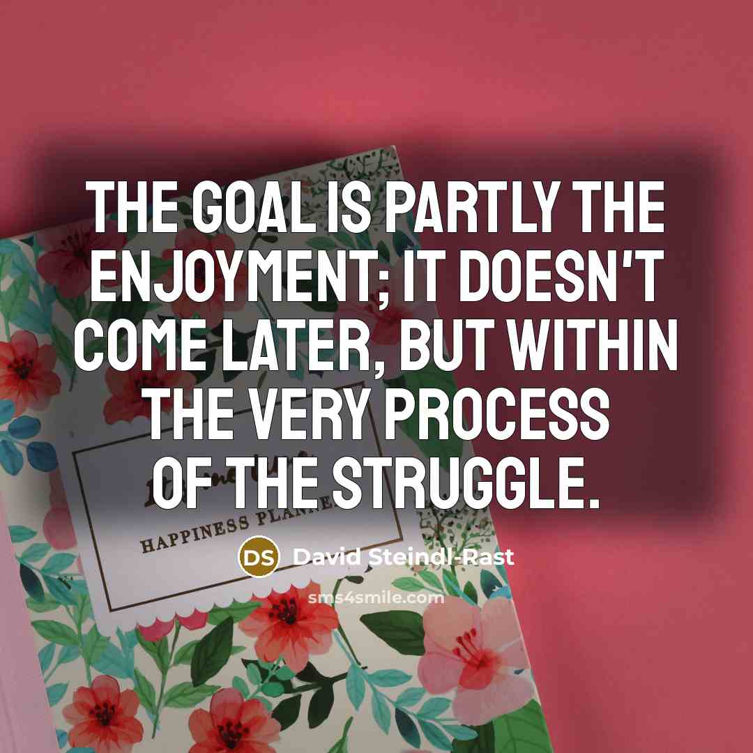 “The goal is partly the enjoyment; it doesn't come later,…” quote by David Steindl-Rast