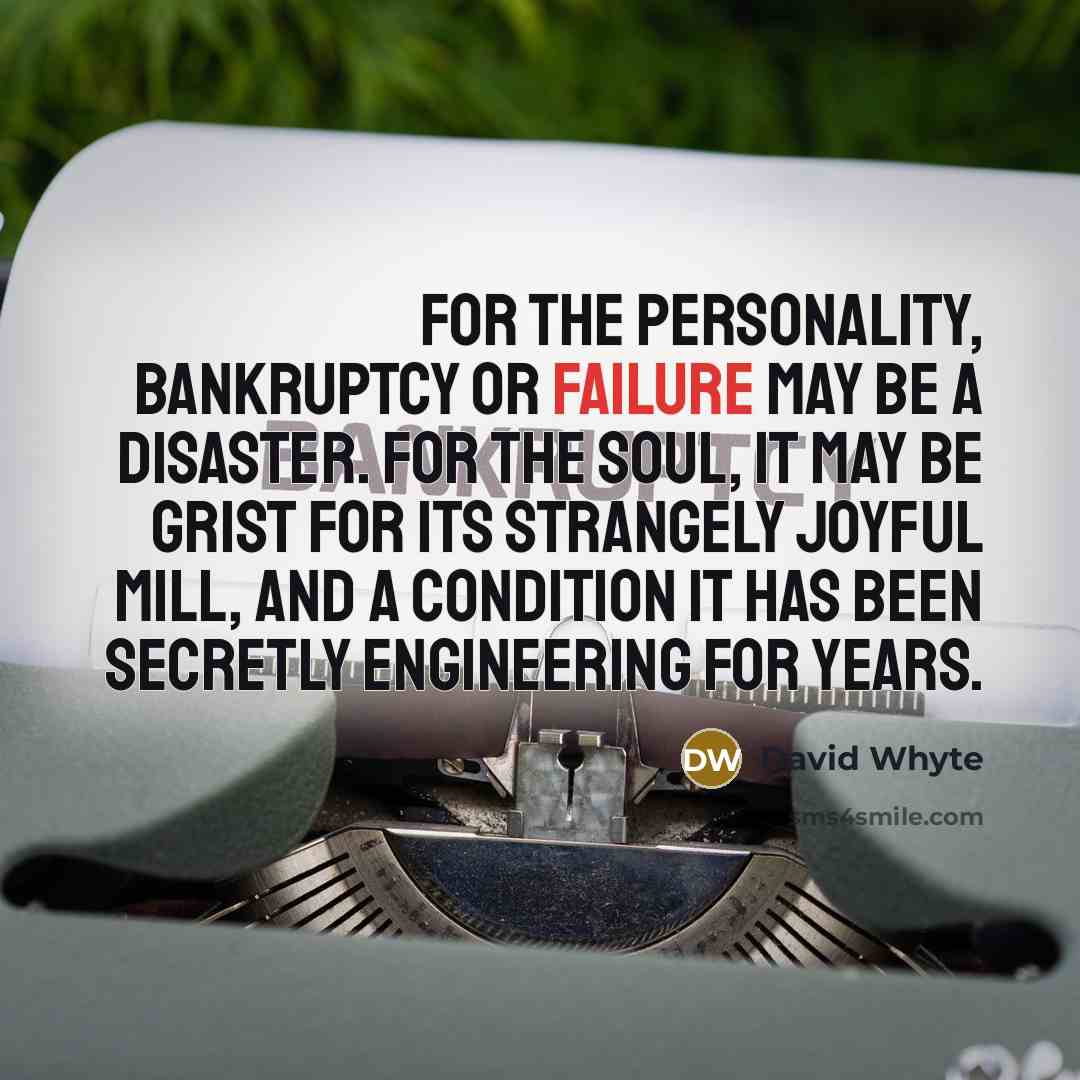 “For the personality, bankruptcy or failure may be a disaster.…” quote by David Whyte