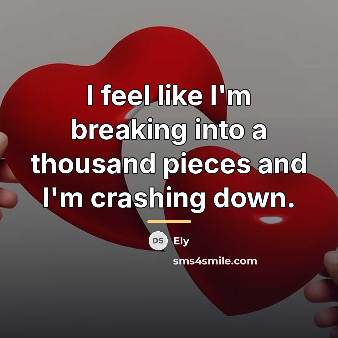 “I feel like I'm breaking into a thousand pieces and…” quote by Ely