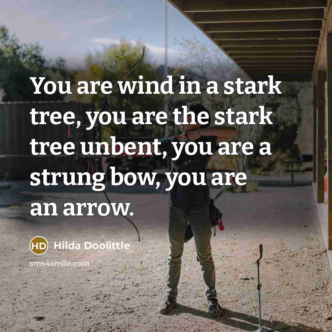 “You are wind in a stark tree, you are the…” quote by Hilda Doolittle