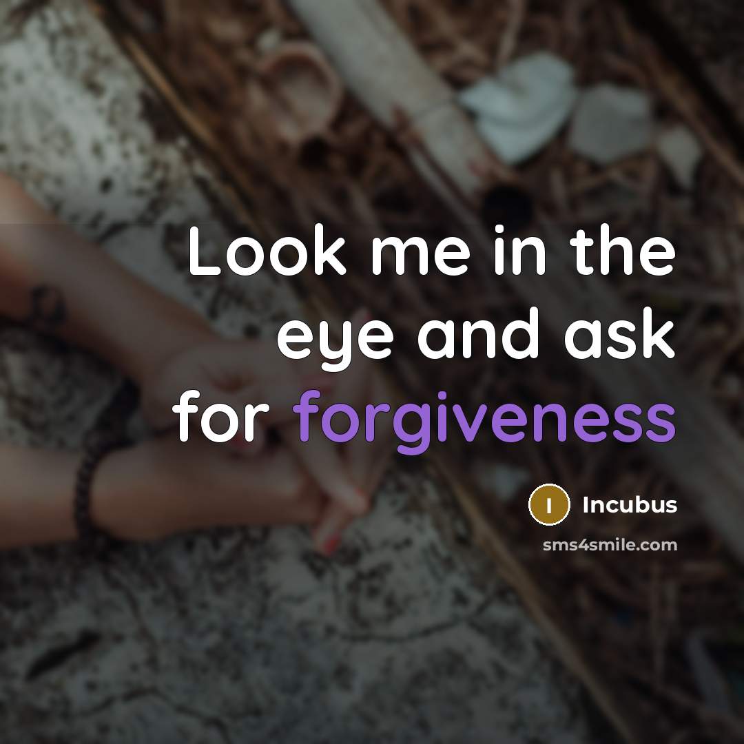 “Look me in the eye and ask for forgiveness…” quote by Incubus
