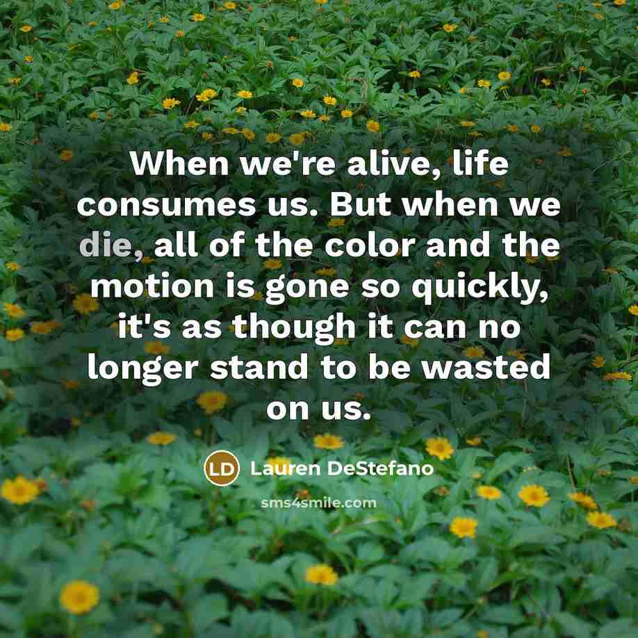 “When we're alive, life consumes us. But when we die,…” quote by Lauren DeStefano