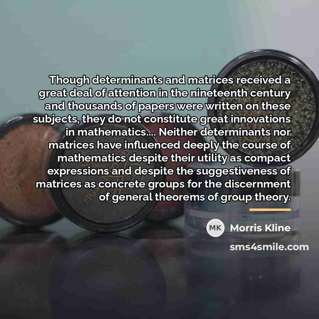 “Though determinants and matrices received a great deal of attention…” quote by Morris Kline