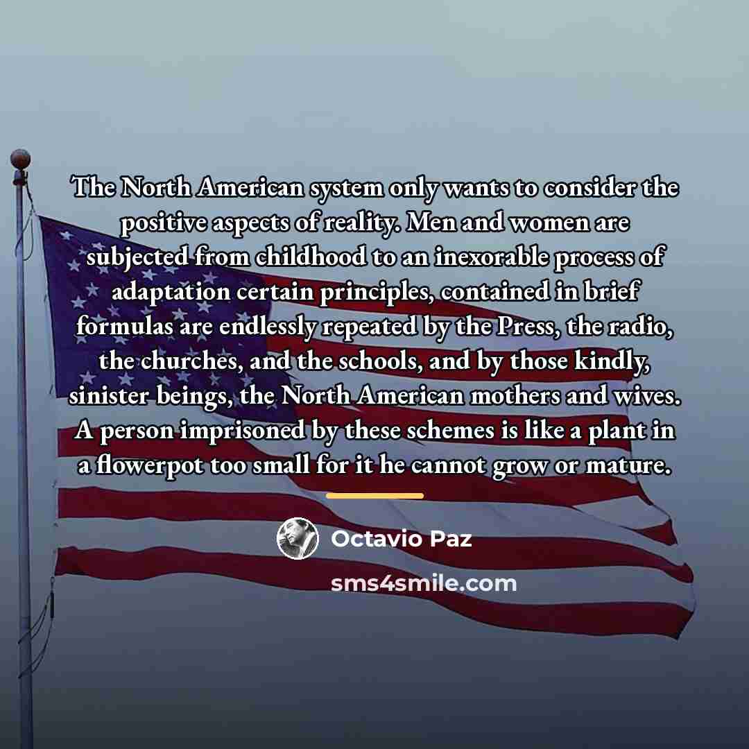 “The North American system only wants to consider the positive…” quote by Octavio Paz