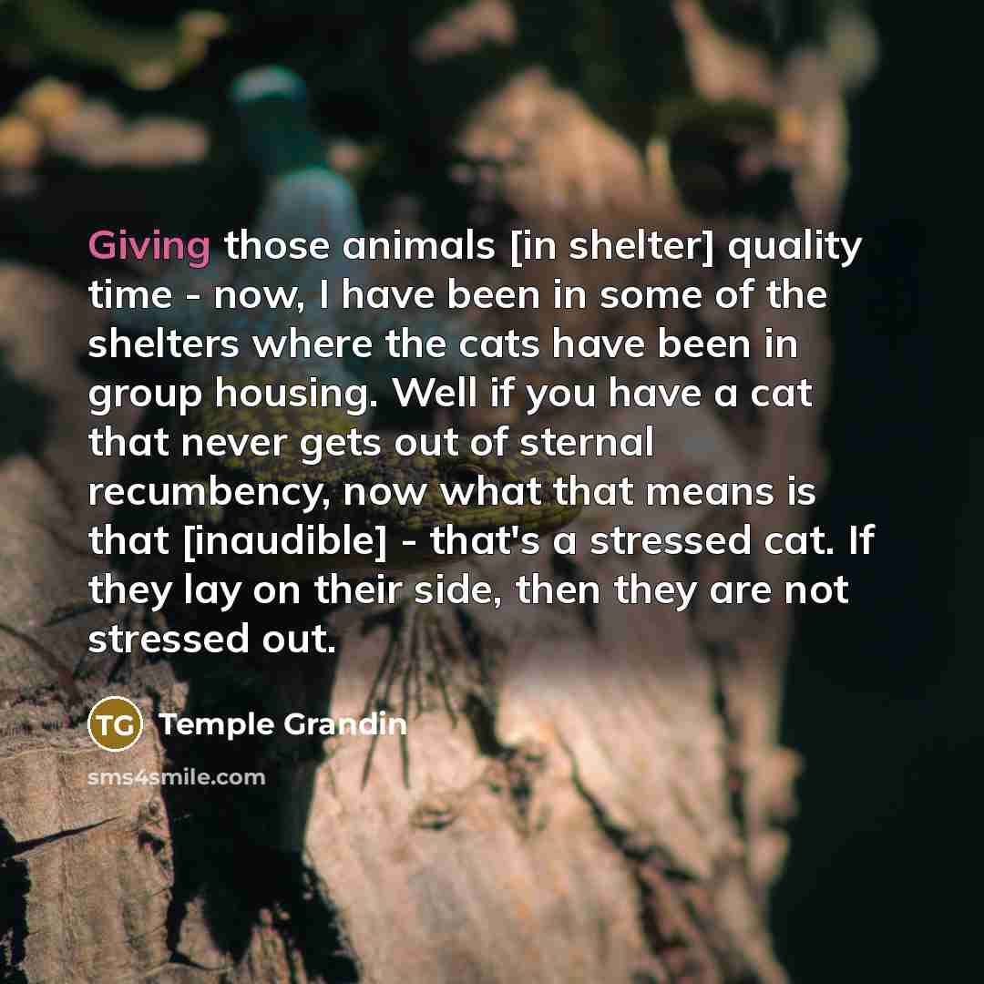 “Giving those animals [in shelter] quality time - now, I…” quote by Temple Grandin